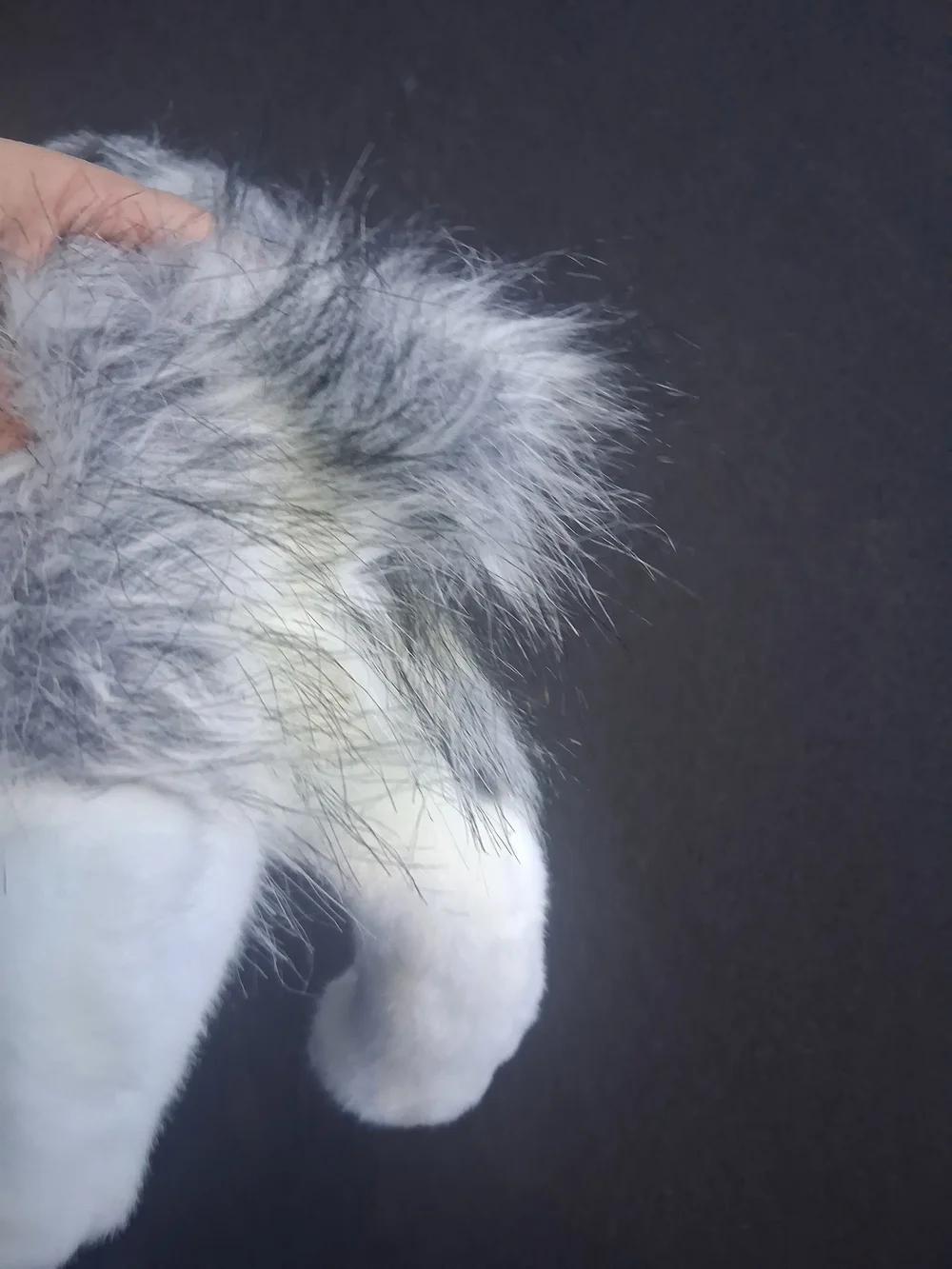 Plush Tri-Color Dog Toy - Soft Grey, White & Brown
